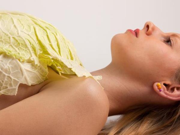 Uporaba zeljnih obkladkov